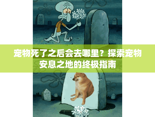宠物死了之后会去哪里？探索宠物安息之地的终极指南