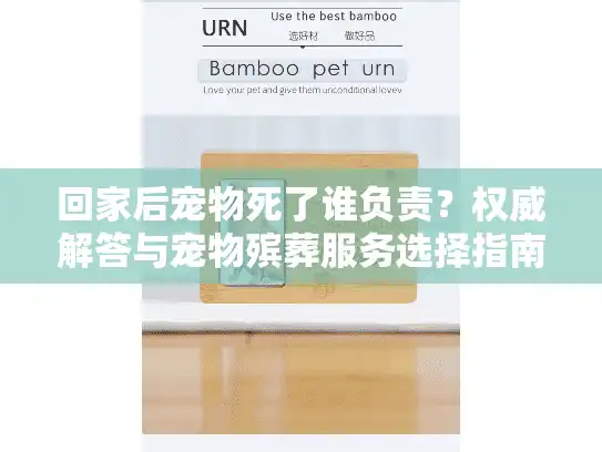回家后宠物死了谁负责?权威解答与宠物殡葬服务选择指南 回家后宠物死了谁负责?权威解答与宠物殡葬服务选择指南