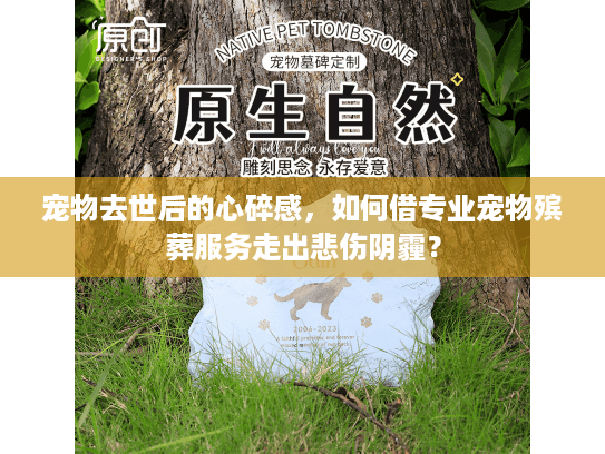 宠物去世后的心碎感,如何借专业宠物殡葬服务走出悲伤阴霾? 宠物去世后的心碎感,如何借专业宠物殡葬服务走出悲伤阴霾?