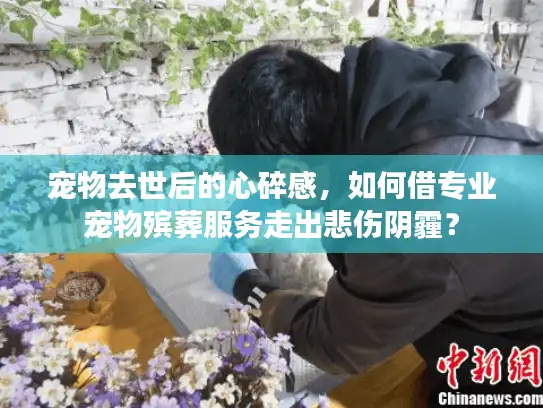 宠物去世后的心碎感,如何借专业宠物殡葬服务走出悲伤阴霾? 宠物去世后的心碎感,如何借专业宠物殡葬服务走出悲伤阴霾?
