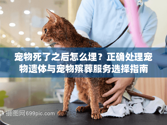 宠物死了之后怎么埋？正确处理宠物遗体与宠物殡葬服务选择指南