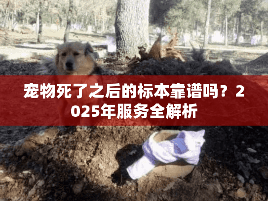 宠物死了之后的标本靠谱吗？2025年服务全解析