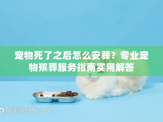 宠物死了之后怎么安葬？专业宠物殡葬服务指南实用解答