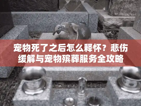 宠物死了之后怎么释怀?悲伤缓解与宠物殡葬服务全攻略 宠物死了之后怎么释怀?悲伤缓解与宠物殡葬服务全攻略