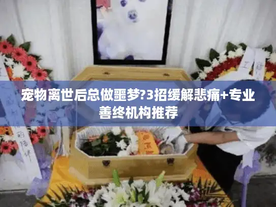 宠物离世后总做噩梦?3招缓解悲痛+专业善终机构推荐