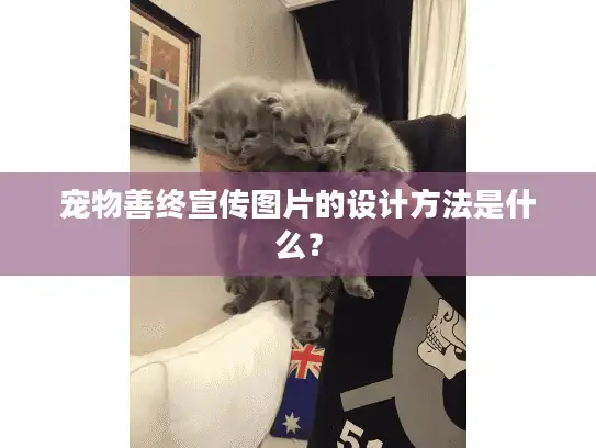 宠物善终宣传图片的设计方法是什么？