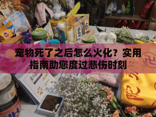 宠物死了之后怎么火化？实用指南助您度过悲伤时刻