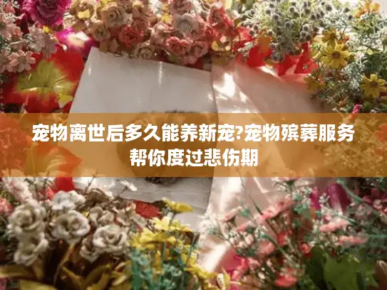 宠物离世后多久能养新宠?宠物殡葬服务帮你度过悲伤期