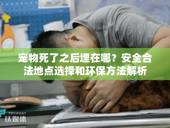 宠物死了之后埋在哪？安全合法地点选择和环保方法解析
