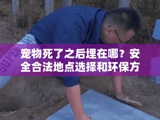 宠物死了之后埋在哪？安全合法地点选择和环保方法解析