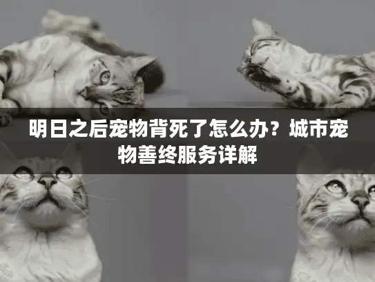 明日之后宠物背死了怎么办？城市宠物善终服务详解