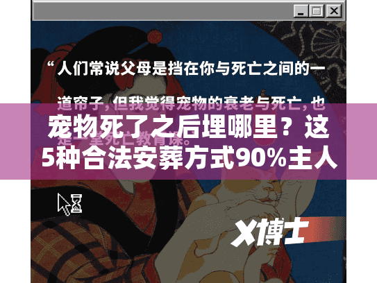 宠物死了之后埋哪里？这5种合法安葬方式90%主人不知道
