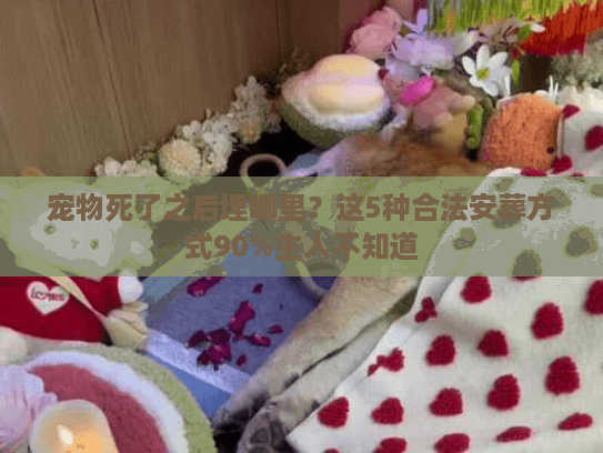 宠物死了之后埋哪里？这5种合法安葬方式90%主人不知道