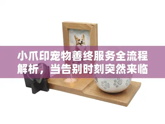 小爪印宠物善终服务全流程解析，当告别时刻突然来临，我能做些什么？