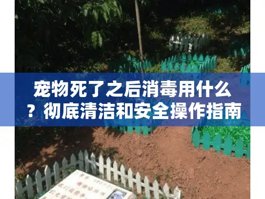 宠物死了之后消毒用什么？彻底清洁和安全操作指南