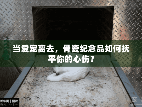 当爱宠离去,骨瓷纪念品如何抚平你的心伤? 当爱宠离去,骨瓷纪念品如何抚平你的心伤?