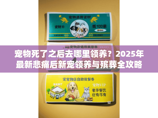 宠物死了之后去哪里领养？2025年最新悲痛后新宠领养与殡葬全攻略