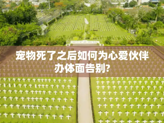 宠物死了之后如何为心爱伙伴办体面告别?