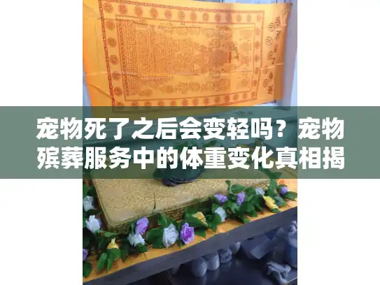 宠物死了之后会变轻吗？宠物殡葬服务中的体重变化真相揭秘