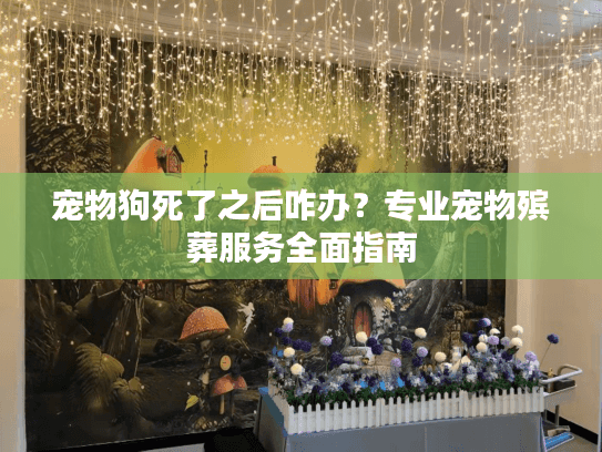 宠物狗死了之后咋办？专业宠物殡葬服务全面指南
