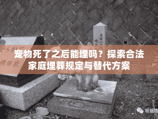 宠物死了之后能埋吗？探索合法家庭埋葬规定与替代方案