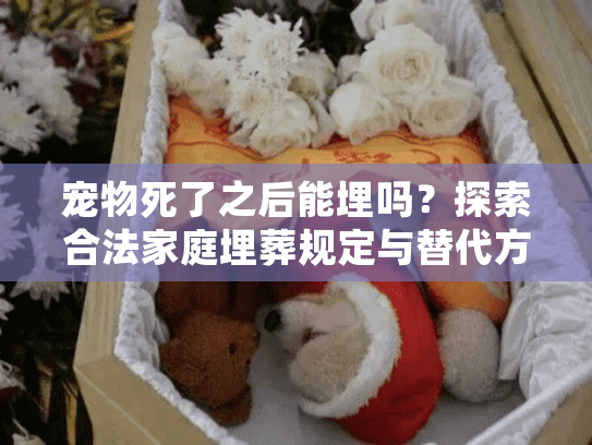 宠物死了之后能埋吗？探索合法家庭埋葬规定与替代方案