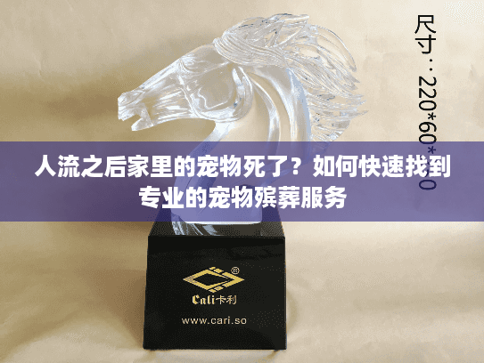 人流之后家里的宠物死了?如何快速找到专业的宠物殡葬服务 人流之后家里的宠物死了?如何快速找到专业的宠物殡葬服务