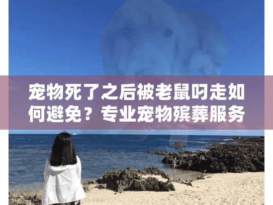 宠物死了之后被老鼠叼走如何避免？专业宠物殡葬服务全程防护指南