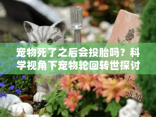 宠物死了之后会投胎吗？科学视角下宠物轮回转世探讨