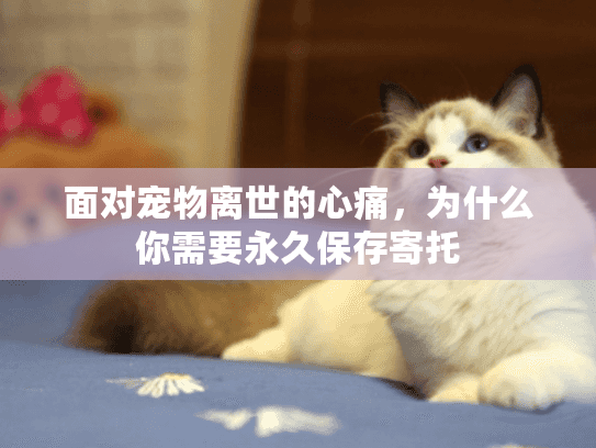 面对宠物离世的心痛,为什么你需要永久保存寄托 面对宠物离世的心痛,为什么你需要永久保存寄托
