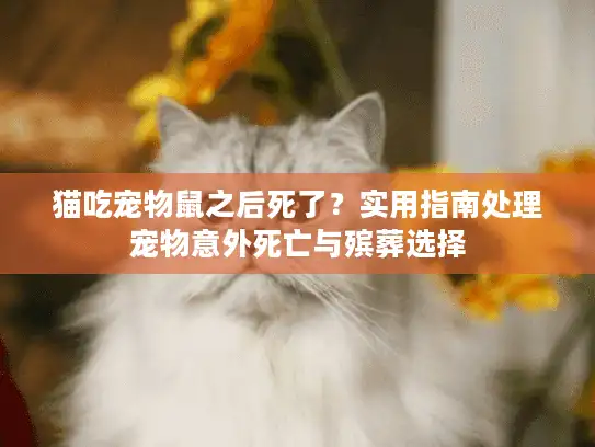 猫吃宠物鼠之后死了？实用指南处理宠物意外死亡与殡葬选择