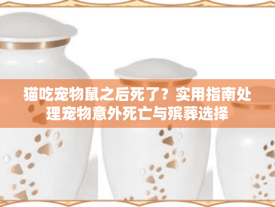 猫吃宠物鼠之后死了？实用指南处理宠物意外死亡与殡葬选择