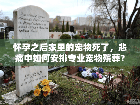 怀孕之后家里的宠物死了,悲痛中如何安排专业宠物殡葬? 怀孕之后家里的宠物死了,悲痛中如何安排专业宠物殡葬?