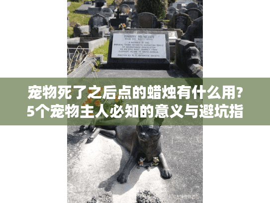 宠物死了之后点的蜡烛有什么用?5个宠物主人必知的意义与避坑指南