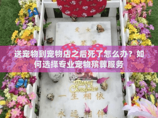 送宠物到宠物店之后死了怎么办?如何选择专业宠物殡葬服务 送宠物到宠物店之后死了怎么办?如何选择专业宠物殡葬服务