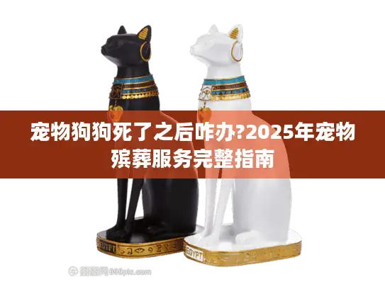 宠物狗狗死了之后咋办?2025年宠物殡葬服务完整指南