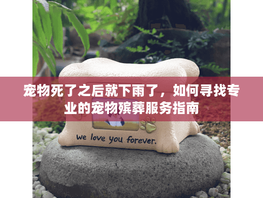 宠物死了之后就下雨了，如何寻找专业的宠物殡葬服务指南