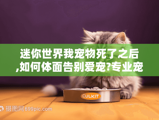 迷你世界我宠物死了之后,如何体面告别爱宠?专业宠物殡葬指南