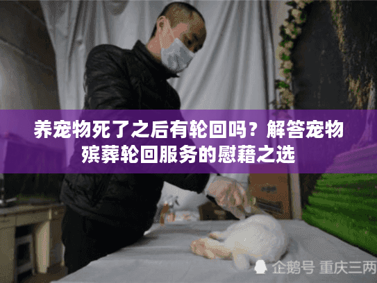 养宠物死了之后有轮回吗?解答宠物殡葬轮回服务的慰藉之选 养宠物死了之后有轮回吗?解答宠物殡葬轮回服务的慰藉之选