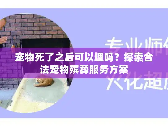 宠物死了之后可以埋吗？探索合法宠物殡葬服务方案
