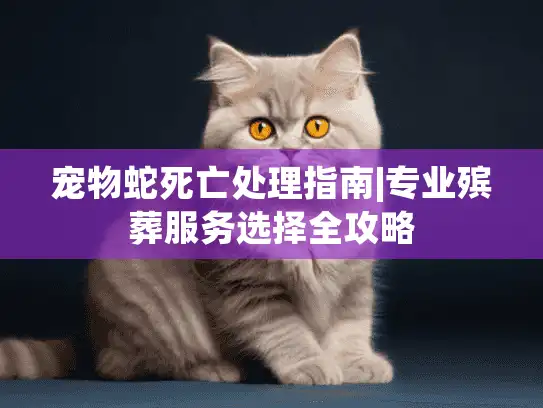 宠物蛇死亡处理指南|专业殡葬服务选择全攻略