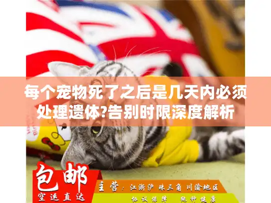 每个宠物死了之后是几天内必须处理遗体?告别时限深度解析 每个宠物死了之后是几天内必须处理遗体?告别时限深度解析