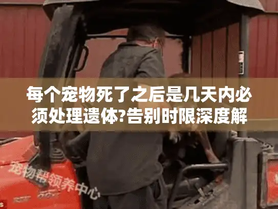 每个宠物死了之后是几天内必须处理遗体?告别时限深度解析 每个宠物死了之后是几天内必须处理遗体?告别时限深度解析