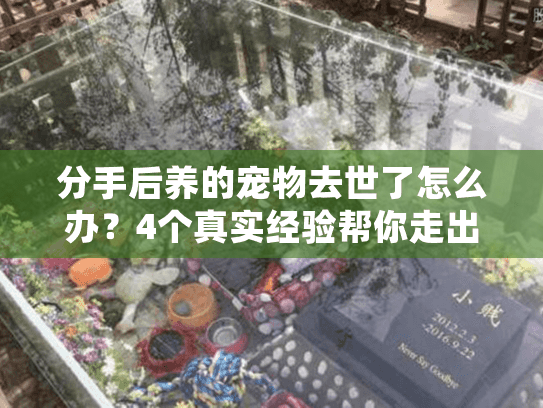 分手后养的宠物去世了怎么办?4个真实经验帮你走出生离死别 分手后养的宠物去世了怎么办?4个真实经验帮你走出生离死别