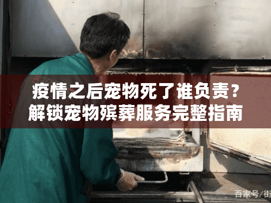 疫情之后宠物死了谁负责?解锁宠物殡葬服务完整指南与责任分配 疫情之后宠物死了谁负责?解锁宠物殡葬服务完整指南与责任分配