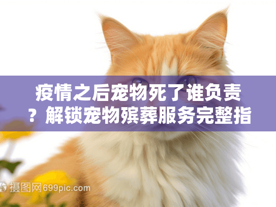 疫情之后宠物死了谁负责?解锁宠物殡葬服务完整指南与责任分配 疫情之后宠物死了谁负责?解锁宠物殡葬服务完整指南与责任分配