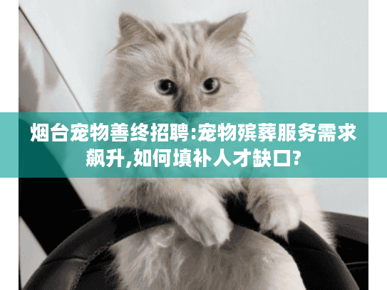 烟台宠物善终招聘:宠物殡葬服务需求飙升,如何填补人才缺口?