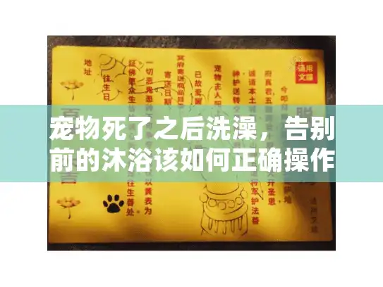 宠物死了之后洗澡,告别前的沐浴该如何正确操作? 宠物死了之后洗澡,告别前的沐浴该如何正确操作?