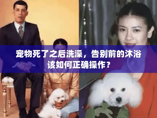 宠物死了之后洗澡,告别前的沐浴该如何正确操作? 宠物死了之后洗澡,告别前的沐浴该如何正确操作?