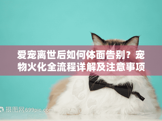 爱宠离世后如何体面告别？宠物火化全流程详解及注意事项